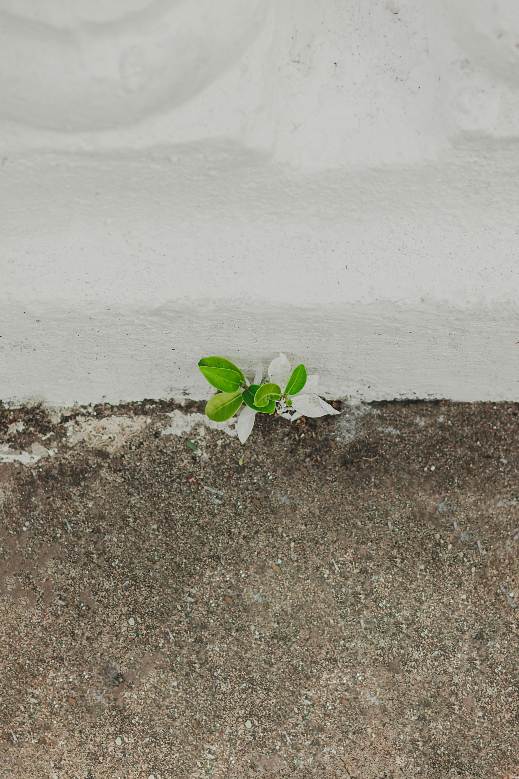 When My Faith Became More Personal Than Perfect